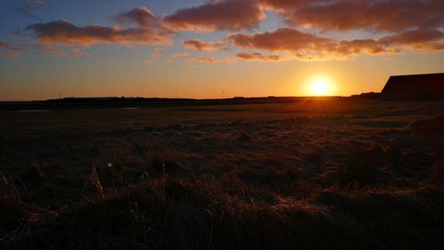 Scenic view of field against sky during sunset