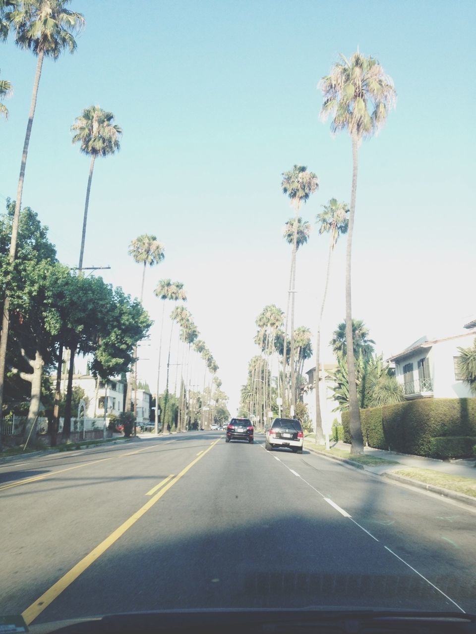 transportation, road, car, land vehicle, road marking, mode of transport, the way forward, tree, clear sky, street, diminishing perspective, palm tree, on the move, vanishing point, travel, windshield, sky, day, growth, blue