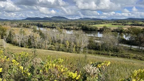 Scenic view of grassy field against sky