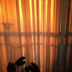 Full frame shot of curtain