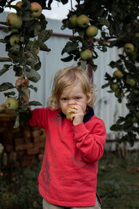 Portrait of cute boy eating apple in orchard