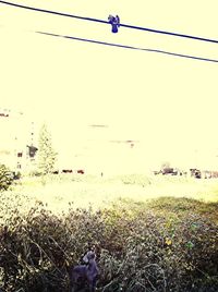 clear sky