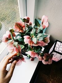 Close-up of hand holding flower vase