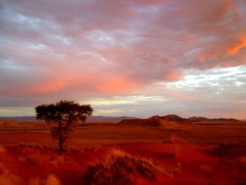 Scenic view of landscape against sky at sunset