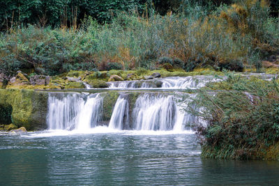 Scenic view of waterfall in forest