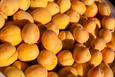 Full frame shot of fruits for sale at market stall