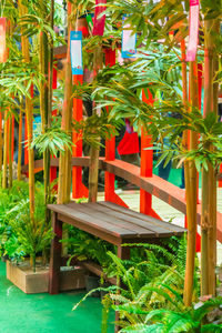 Close-up of potted plants