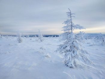 Scenic view of snowcapped landscape against sky