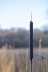 Close-up of metal structure against sky