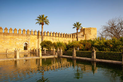 Sunset in the garden in alcazar of cordoba.