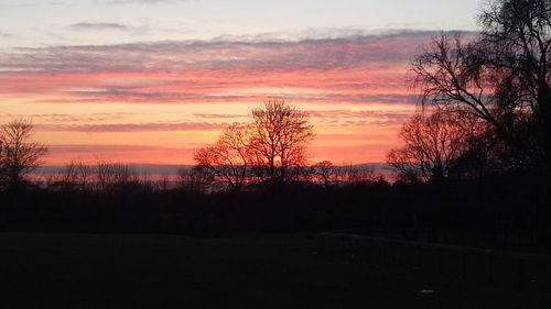 Silhouette trees on landscape against sky at sunset