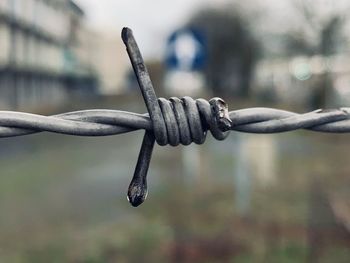 Close-up of barbed wire