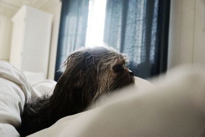 Close-up of woman lying on bed