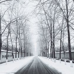 Snow covered road amidst trees during winter