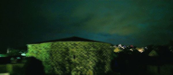 Close-up of tree against sky at night