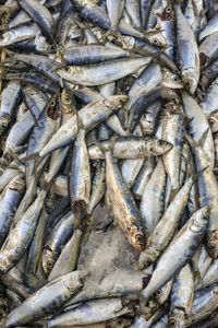 Full frame shot of fish for sale in market