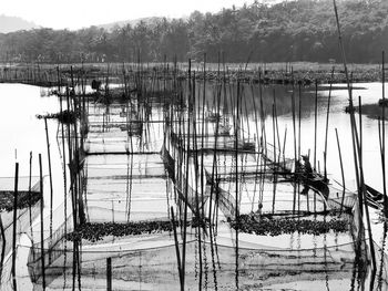 Fishing nets in lake