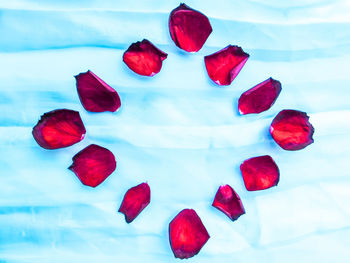 Close-up of red roses against blue sky