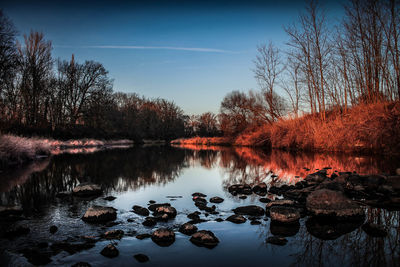 Reflection of trees in lake against sky