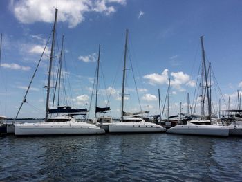 Sailboats moored at harbor