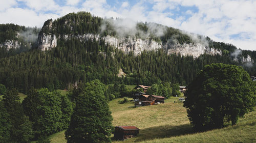 Panoramic shot of trees on field against sky