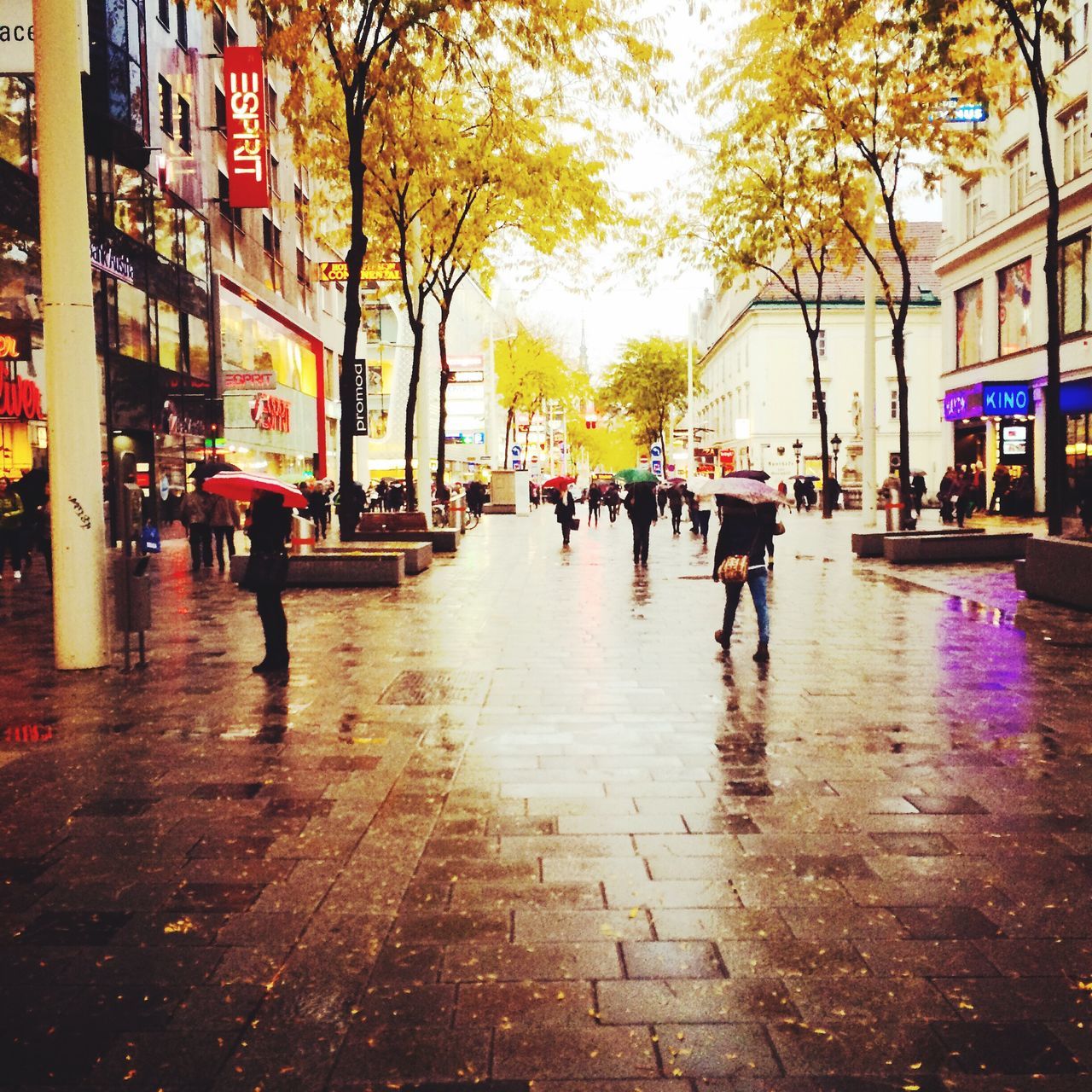 street, city, building exterior, walking, tree, city life, large group of people, built structure, architecture, person, men, transportation, city street, lifestyles, road, sidewalk, incidental people, text, outdoors