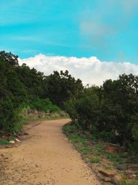 Dirt road amidst trees against sky