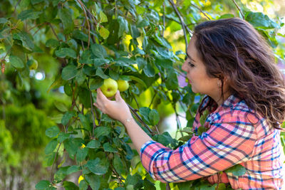 Side view of woman holding fruits growing on tree