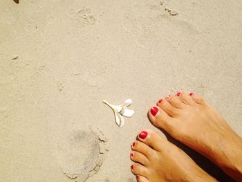 Low section of woman on beach