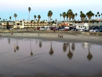 Reflection of people on palm trees in city