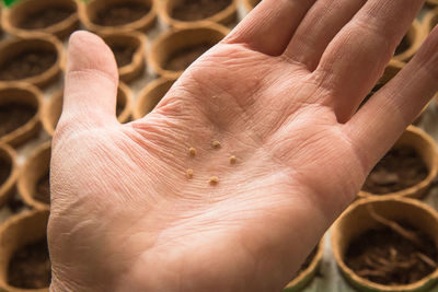 Cropped hand of woman with tomato seeds over pots