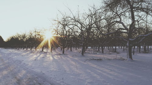 Scenic view of snow covered landscape