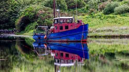 Old blue and red fishing boat moored in clifden bay against trees, reflected on water surface
