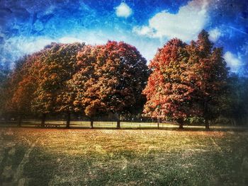 Trees on field against cloudy sky