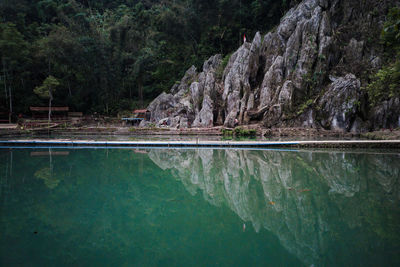 Reflection of trees in water