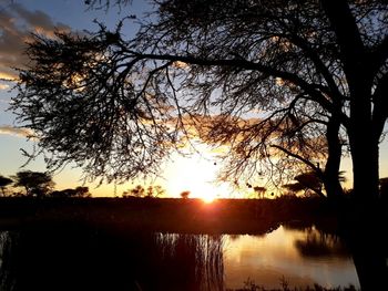 Silhouette trees by lake against sky during sunset