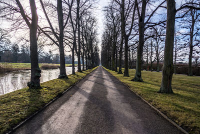 Road amidst trees