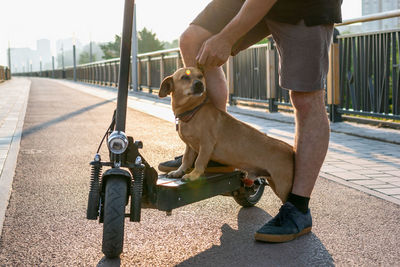 Feet of a man made stop stand one leg with his small cute dog on electric scooter on the street. 