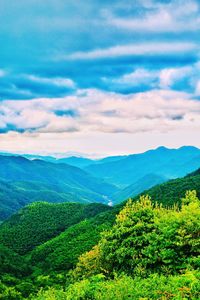 Scenic view of forest and mountains against sky