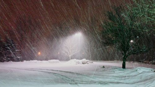 Scenic view of snow covered landscape