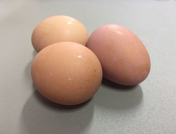 Close-up of eggs against white background