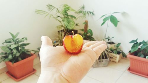 Close-up of hand holding fruit