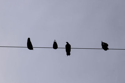 Low angle view of birds perching on cable against sky