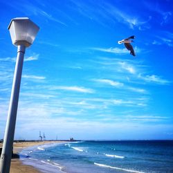 Low angle view of seagull flying over sea against sky