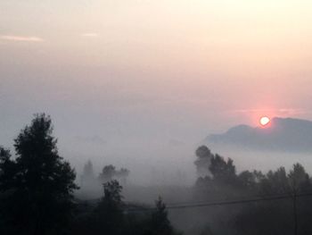 Silhouette trees on landscape against sky during sunset