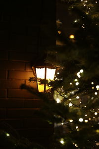 Low angle view of illuminated christmas tree at night