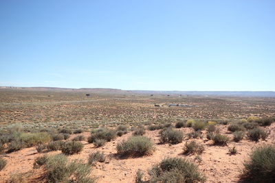 Scenic view of field against clear sky