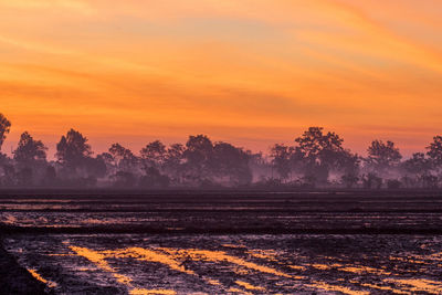 Scenic view of field against sky during sunset