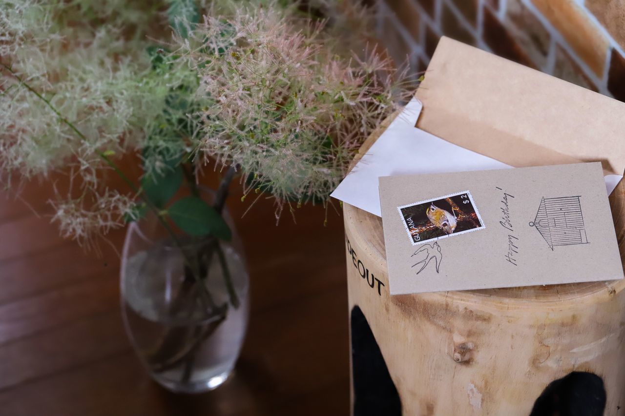 plant, table, paper, no people, nature, indoors, still life, close-up, container, selective focus, high angle view, wood - material, potted plant, day, publication, book, green color, box, mail, glass