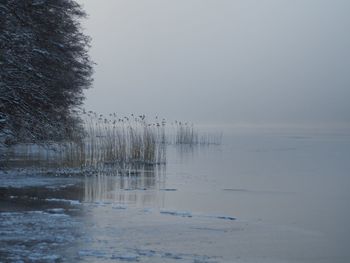 Scenic view of lake against clear sky during winter